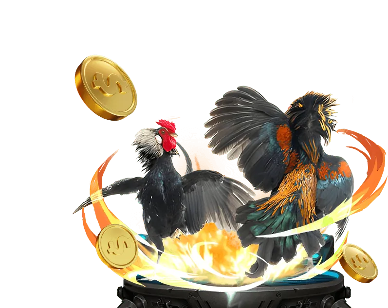 Dịch vụ chăm sóc khách hàng 24/7 chuyên nghiệp của Five88